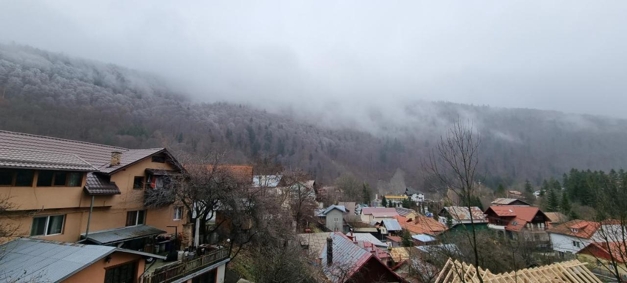 Sara Apart Belleview Σινάια Εξωτερικό φωτογραφία