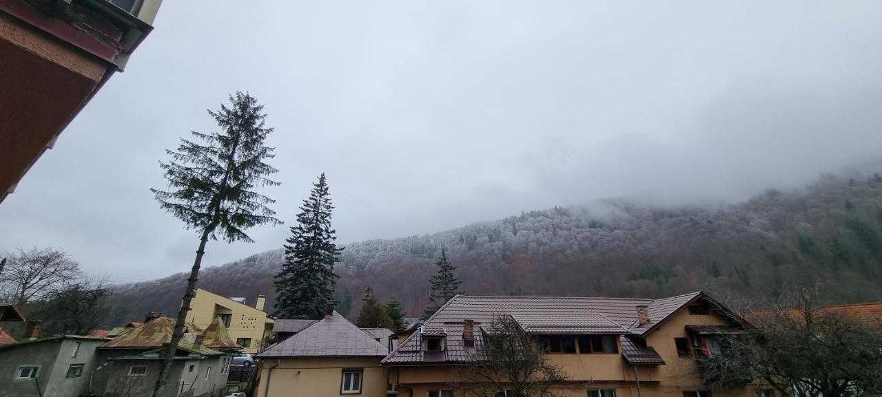 Sara Apart Belleview Σινάια Εξωτερικό φωτογραφία
