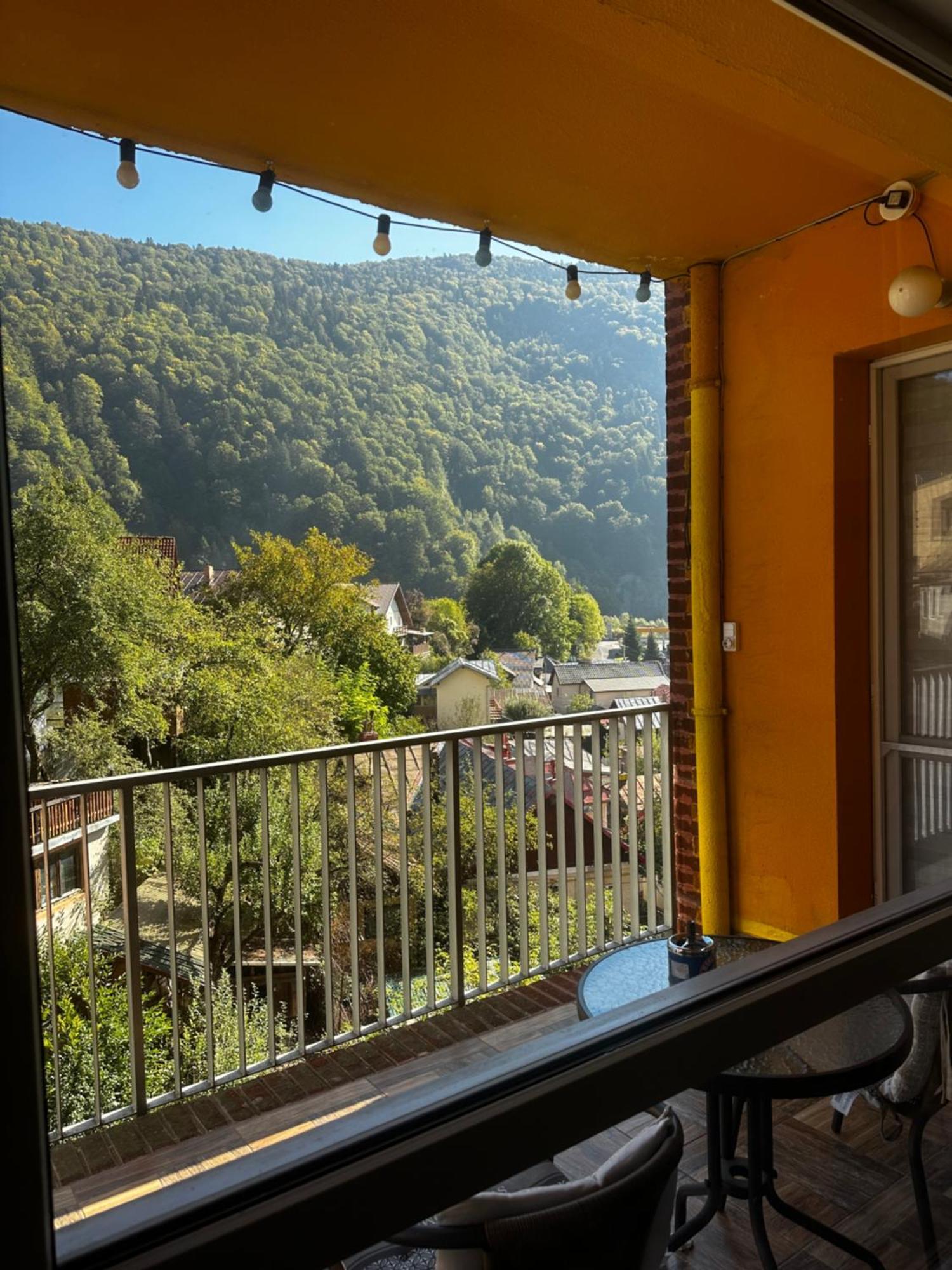 Sara Apart Belleview Σινάια Εξωτερικό φωτογραφία